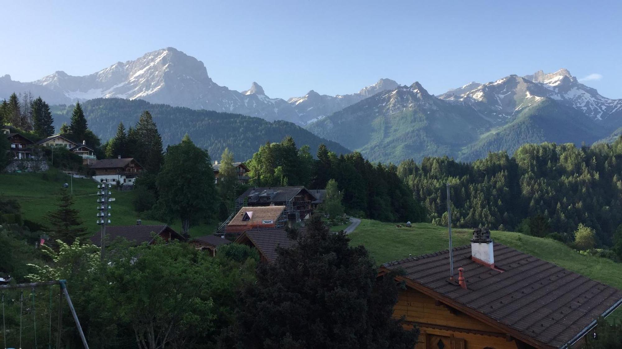 Chalet Le Slalom Arveyes Exteriör bild