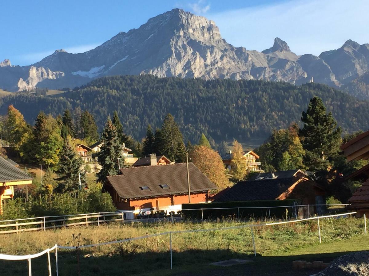 Chalet Le Slalom Arveyes Exteriör bild