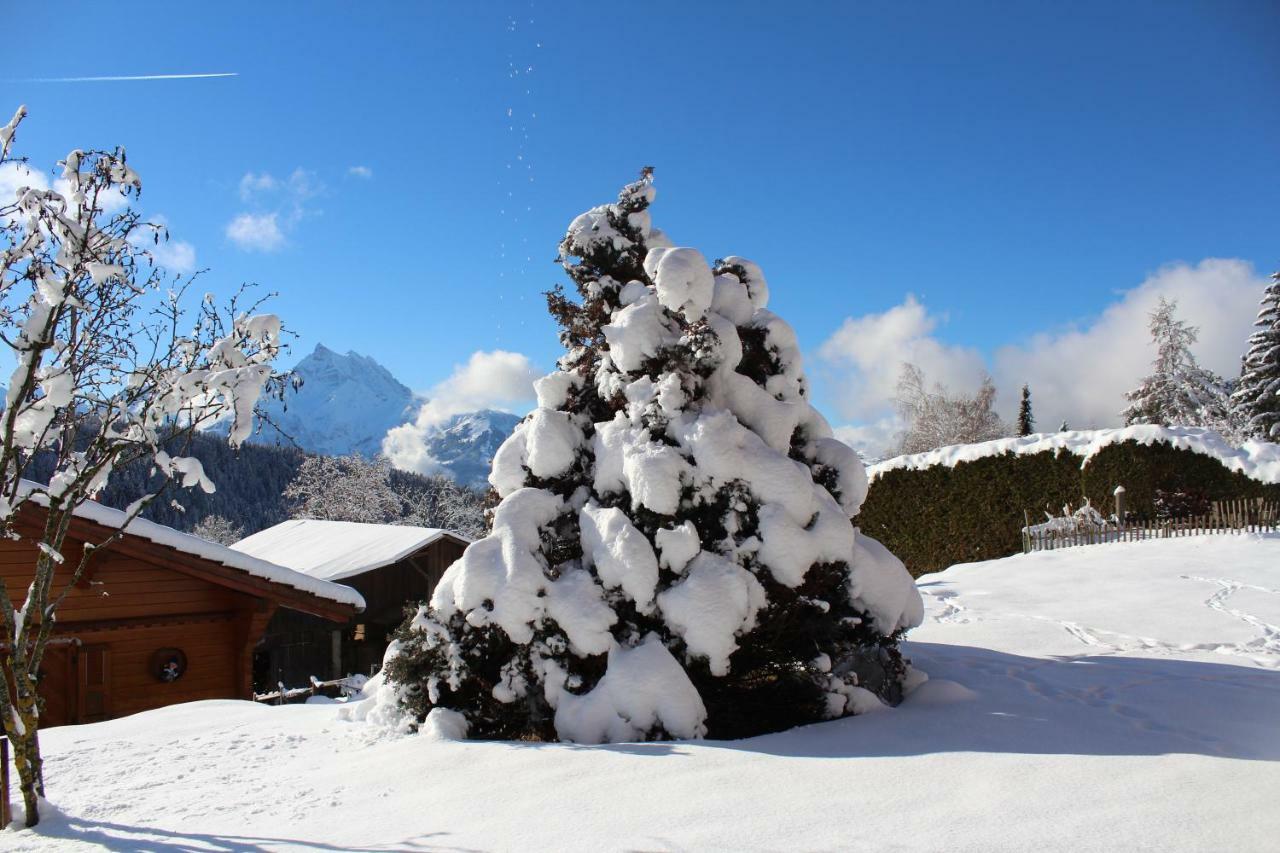 Chalet Le Slalom Arveyes Exteriör bild