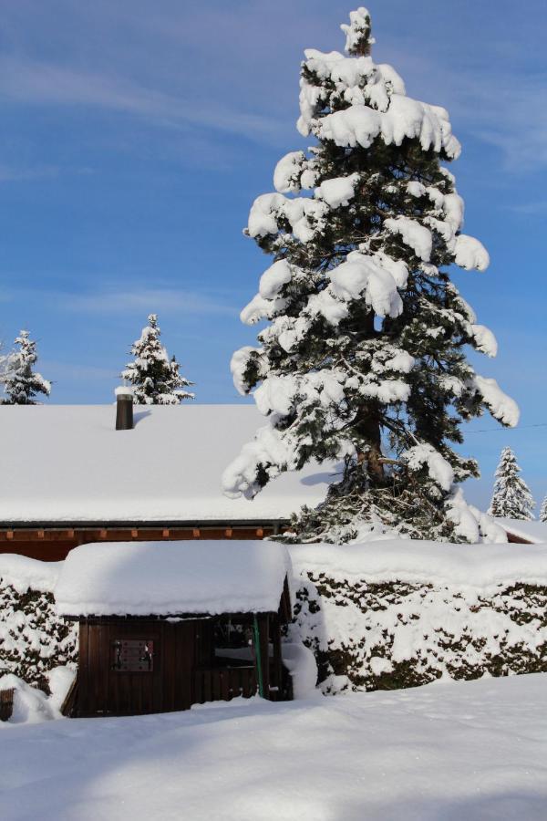 Chalet Le Slalom Arveyes Exteriör bild